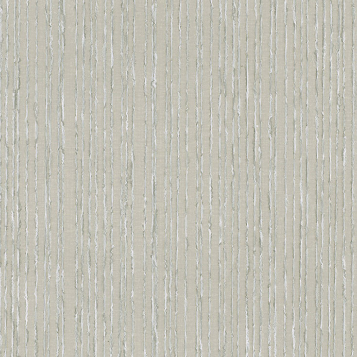 チップ画像