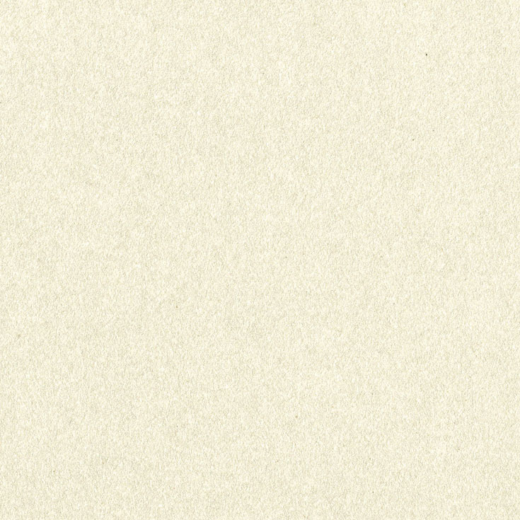 チップ画像