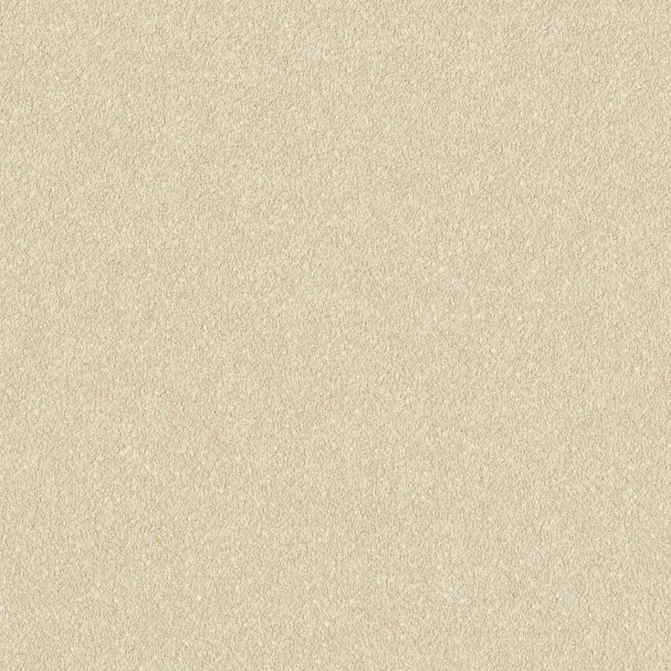 チップ画像