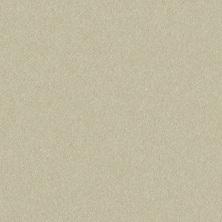 チップ画像