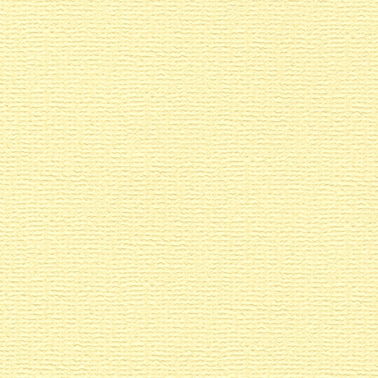 チップ画像
