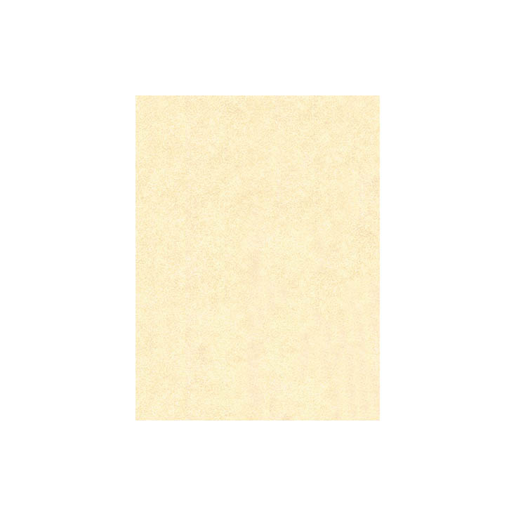 リピート画像