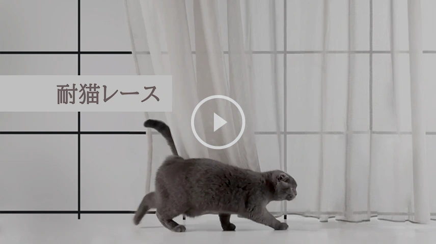 耐猫レース（FD-55436）紹介動画