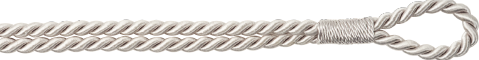 RT0 シルバーグレーの画像