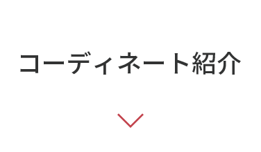 コーディネート紹介