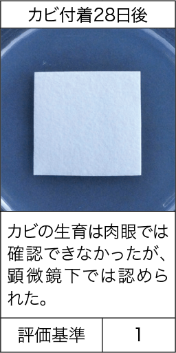 防カビ性能試験方法と試験結果