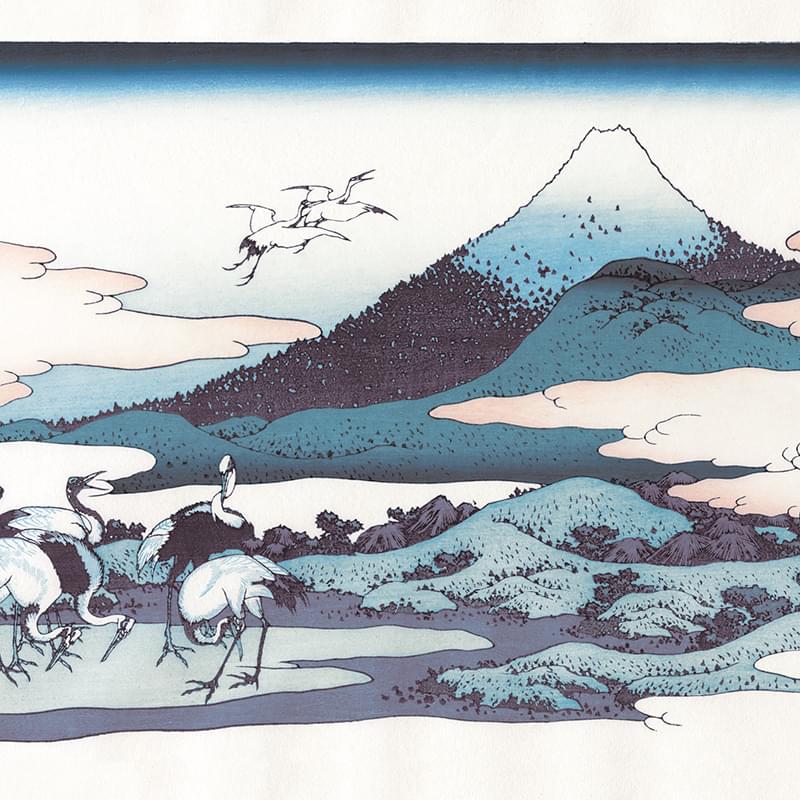 D44067｜リリカラ デジタル・デコ 2025-｜カタログ紹介：壁紙