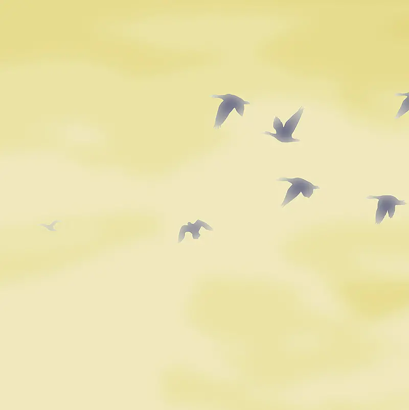 D44013｜リリカラ デジタル・デコ 2025-｜カタログ紹介：壁紙