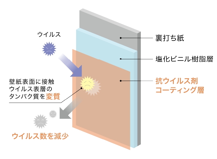 抗ウイルス壁紙の構造イメージ図