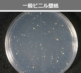 抗菌性比較　一般ビニル壁紙