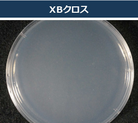 抗菌性比較　XBクロス