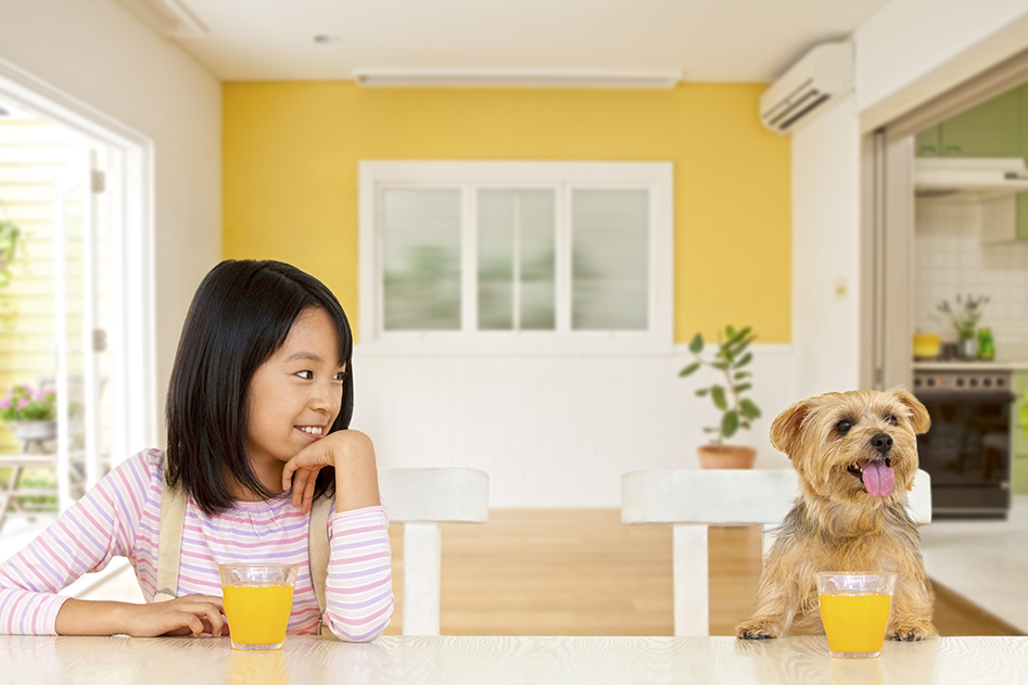 ペットと快適に暮らす住まいづくり 壁紙編