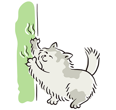 壁をひっかく猫のイラスト