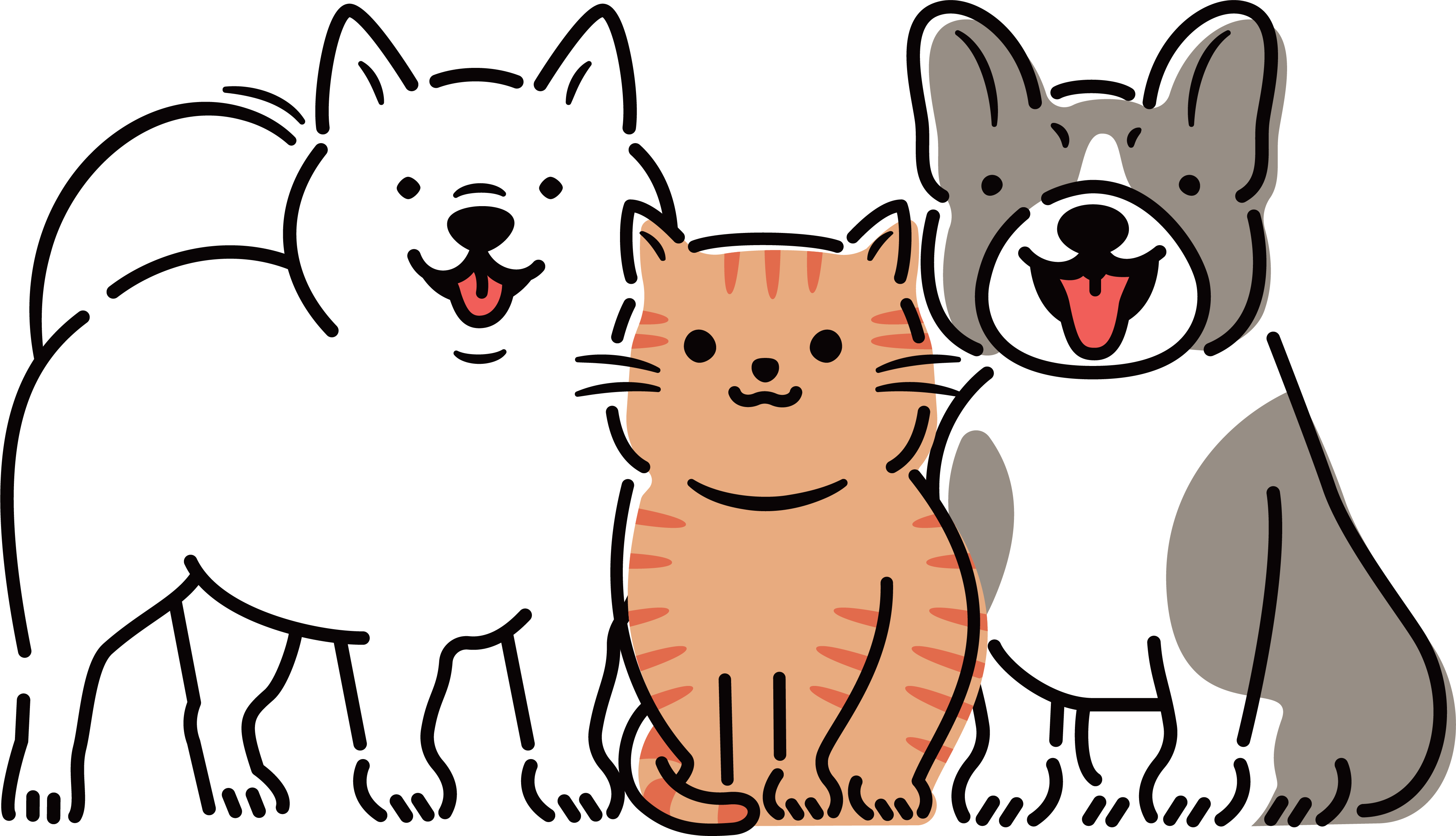 笑顔の犬2匹に挟まれた猫のイラスト