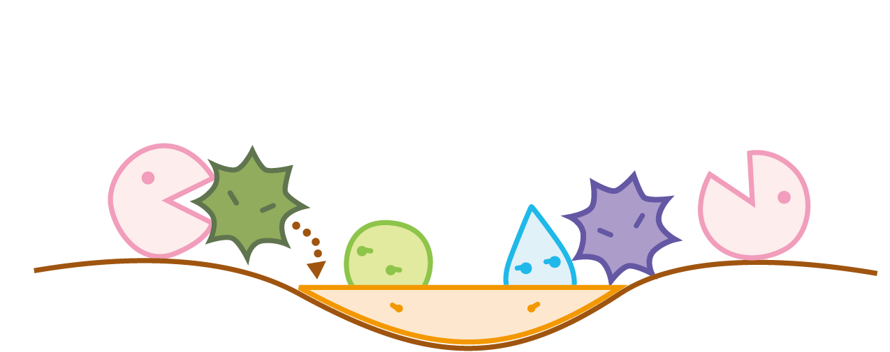 エアリフレ 消臭方法