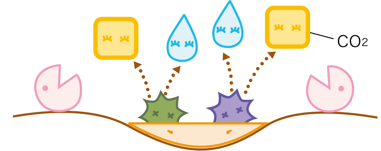 エアリフレ 消臭方法
