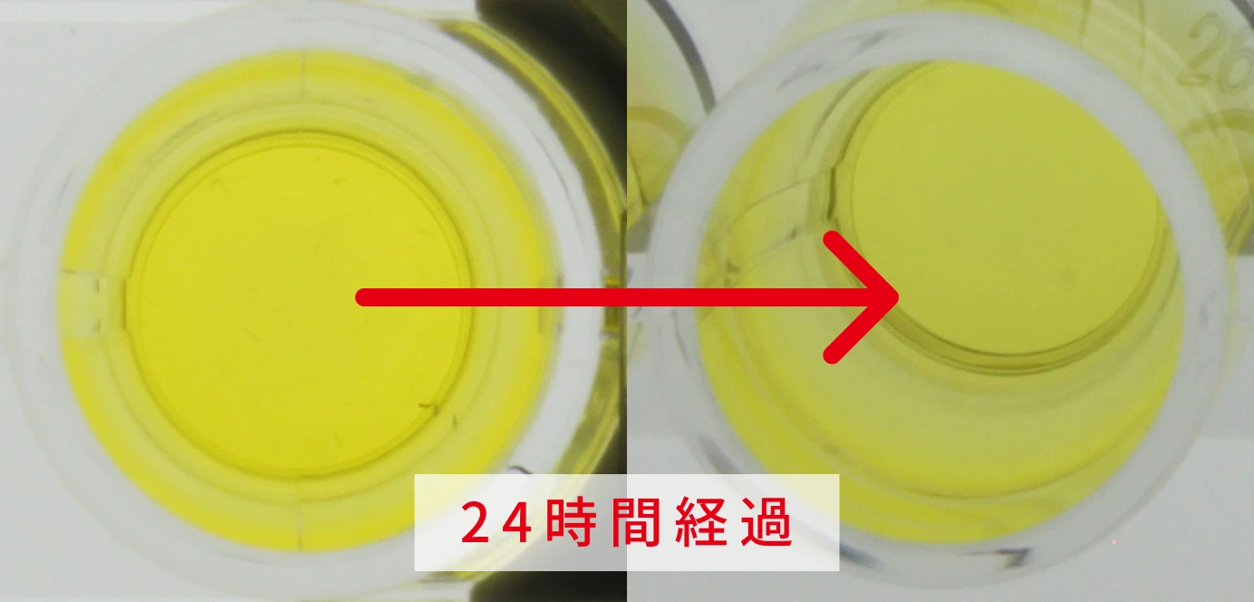 スギタンパク質による発色試験　アースプラスTMなしの画像