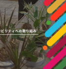 オフィスの緑を再利用。小さな苔玉から広がるサステナの輪