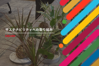オフィスの緑を再利用。小さな苔玉から広がるサステナの輪
