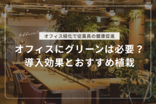 オフィスにグリーンは必要？オフィス緑化で従業員の健康を支える環境づくり