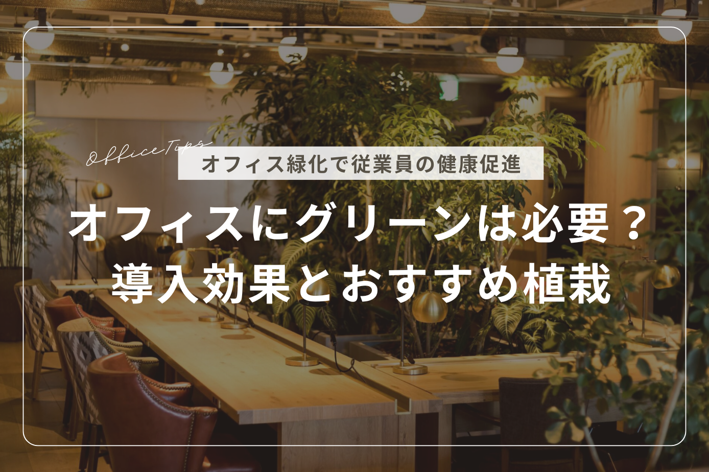 オフィスにグリーンは必要?オフィス緑化で従業員の健康を支える環境づくり