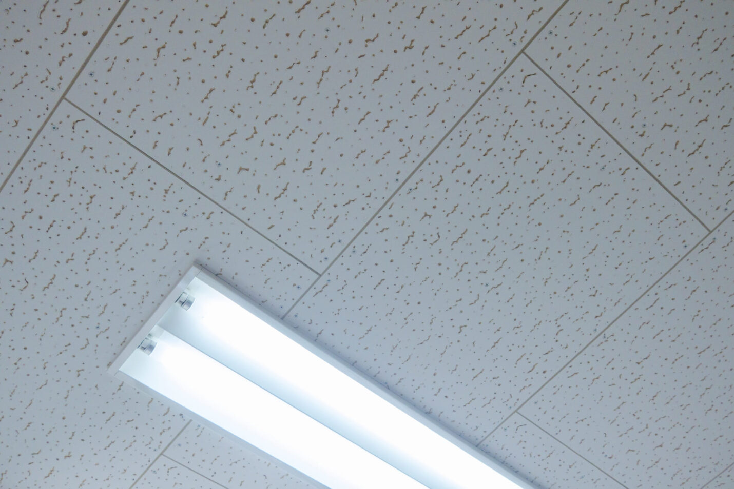 オフィスの天井にこだわろう!主な種類やデザインの工夫ポイント | リリカラ株式会社